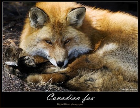 ������� (10 ����������)