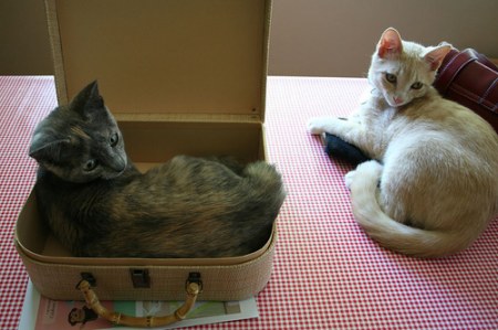 ����� ��� ������ :)