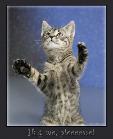 ����� � ������ (15 ����)