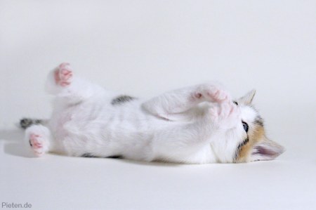 ����� � ������ (15 ����)