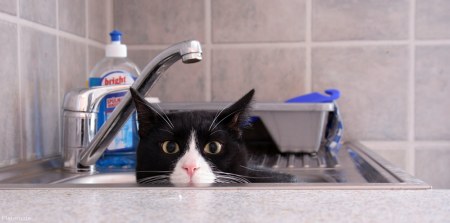 ����� � ������ (15 ����)