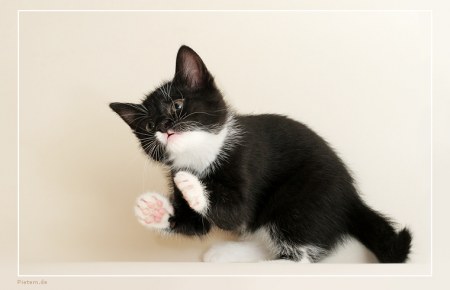 ����� � ������ (15 ����)