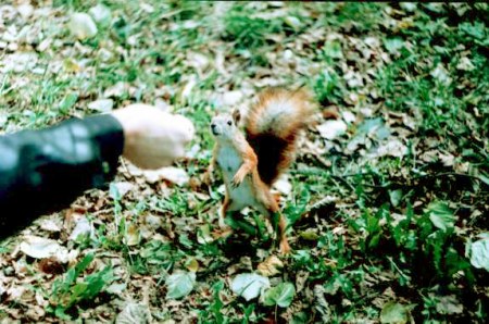 �����-����������! :)