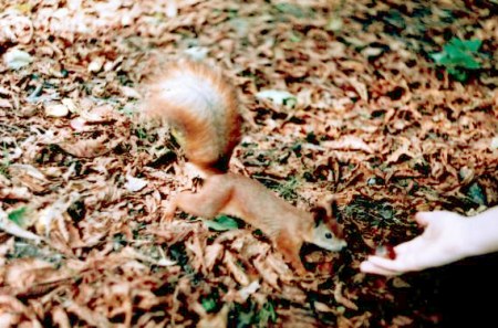 �����-����������! :)