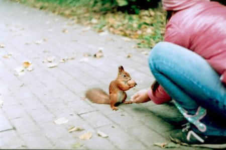 �����-����������! :)