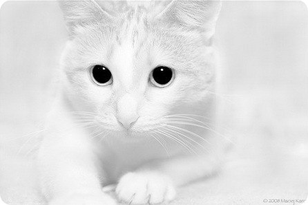 �����, ��� ����! (17 ����������)