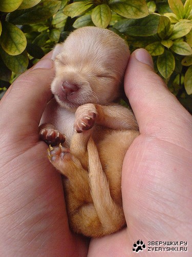 ��������� :)