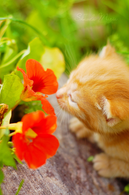 �������� ��� ��������! :)