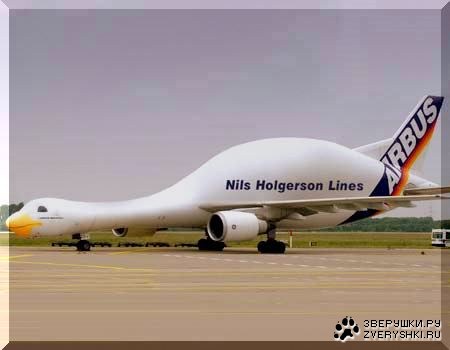 ����� � ����