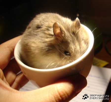 ��������� ;)