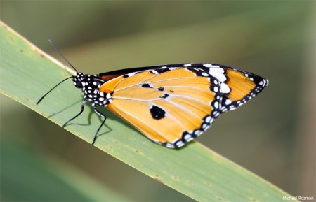 �������� ������� :)