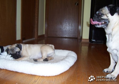 ����� � ���, ����� :)