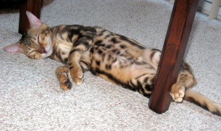 ��� ���� �� ���� �����?! ;)