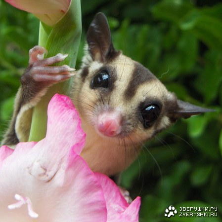 ��������� ������ :)