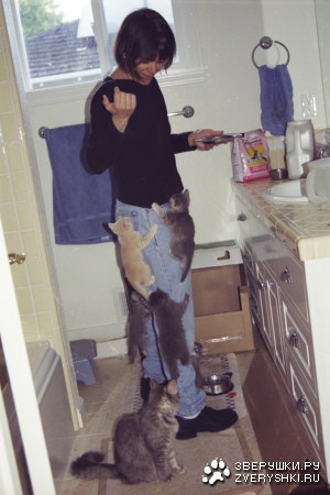 ������� ������ �������! ;)