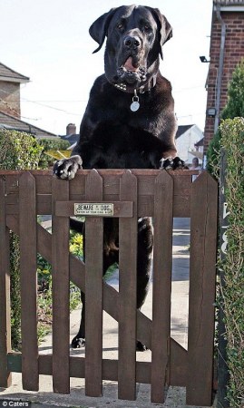 ������ - ����� ������� ������ ��������������.