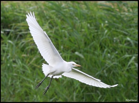 ���� ����� ;)