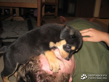 ������������� �������?! :)