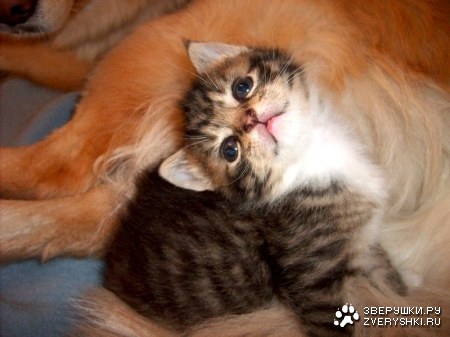 ������� ��� ���������� ������ :)