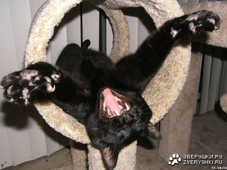 ������� �! :)