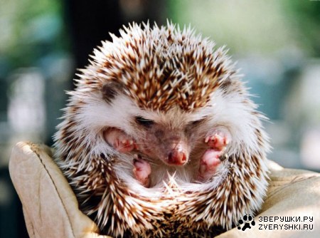 ��������� ����!