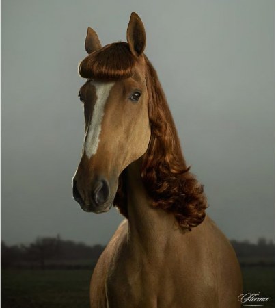 ������� (3 ����������)