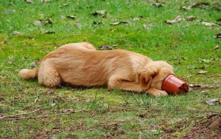 �� ���� �� � ��� �������������... :)