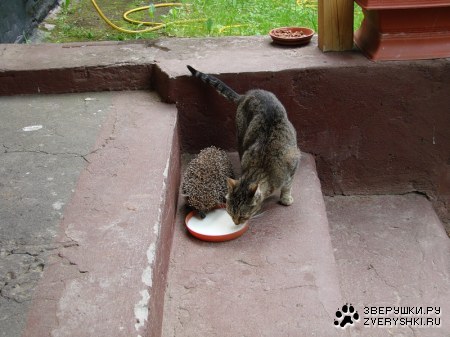 ��������-�� ������? ;)