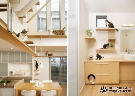 ��������� ������ ��� :)