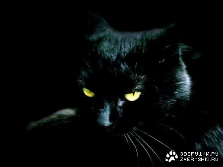 �������! (6 ����������)