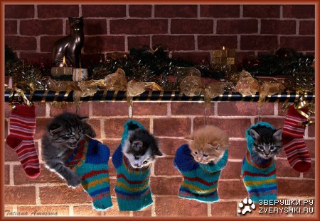 �������������� ��������� :)