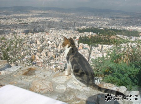 ��������� ����� (20 ����������)