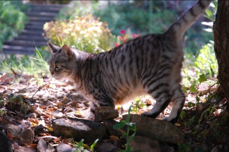 ����������� ������ (6 �������� ����)