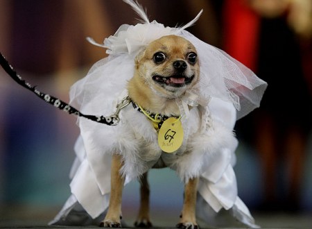 ����� ������� � ������� (11 ����������)