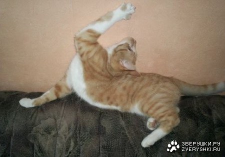 ������� :)