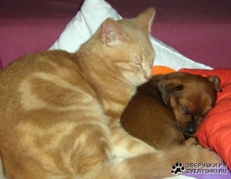 � ���� ������ �� �����... ;)