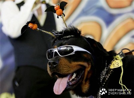 ������ ��� �������! :)