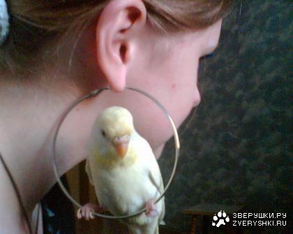 ��� ��� ��� :)