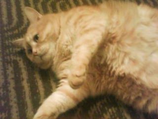 ����� �����!