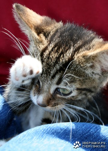 �������� �������� ��� ������! :)