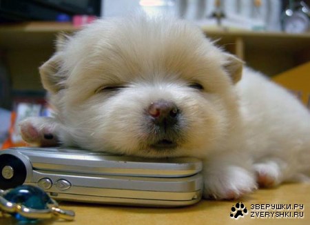 ��������� ���� :)