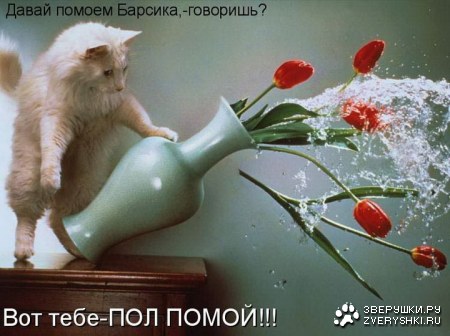 ������ �������� ;)