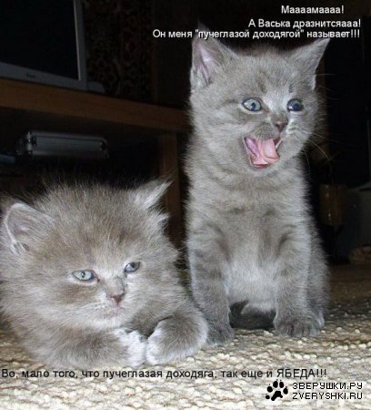 ������ �������� ;)