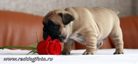 ������ ����������!