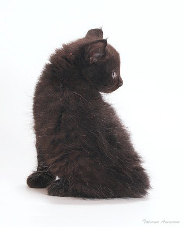 ��� �� ��� �����?! (6 ����������)