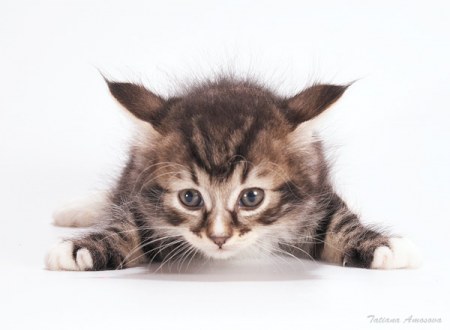 ��������� �������� :)