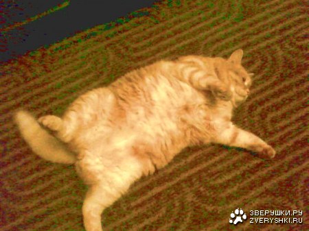 ����� �����!