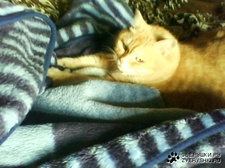 ����� �����!