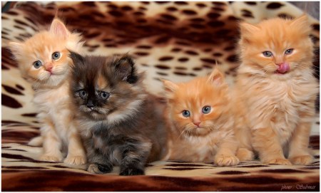 �������� ��� ��������! :)