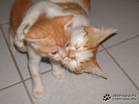 ����� ������� :)